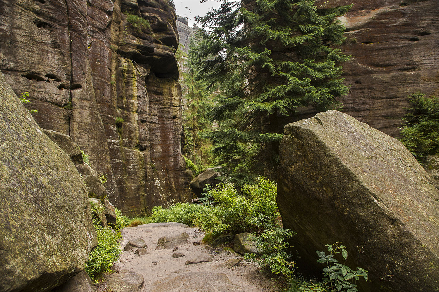 Teplice Rocks